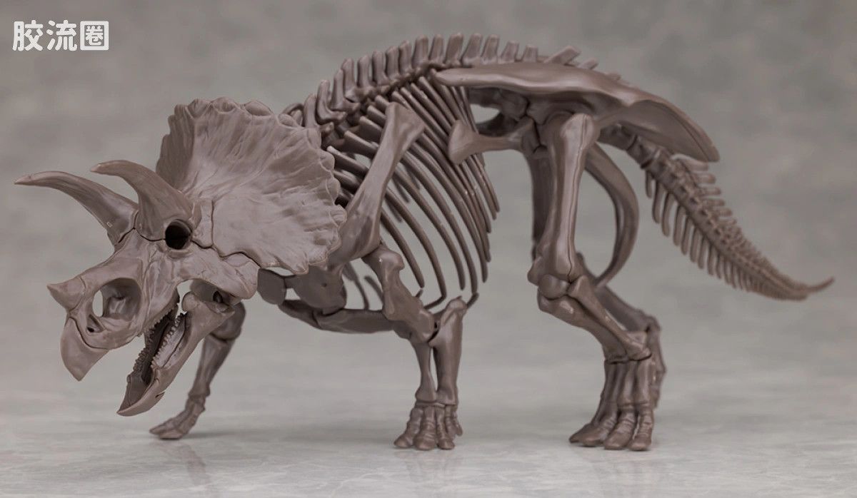 万代综合拼装模型系列 Imaginary Skeleton系列 三角龙 - 图片
